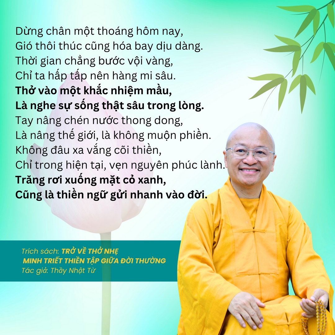 15 Câu Pháp Ngữ Chữa Lành: Hơi Thở Chánh Niệm Đánh Thức Bình An