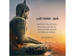 Tin Thật Sâu Luật Nhân Quả Cái Ta Khó Lộ Diện