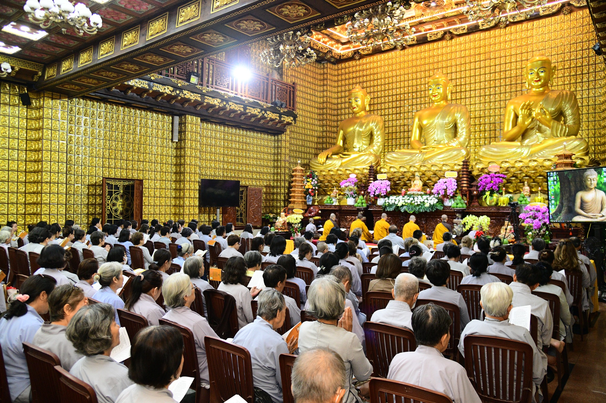 Pháp thoại “Chánh Tri Kiến” do Hòa thượng Thích Tâm Đức thuyết giảng tại Khóa tu Ngày An Lạc – Chùa Giác Ngộ