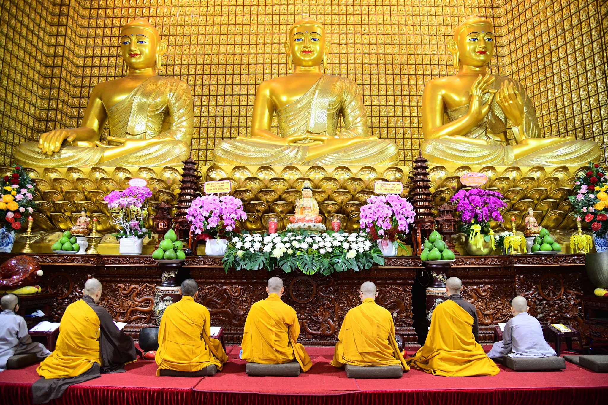 Pháp thoại “Chánh Tri Kiến” do Hòa thượng Thích Tâm Đức thuyết giảng tại Khóa tu Ngày An Lạc – Chùa Giác Ngộ