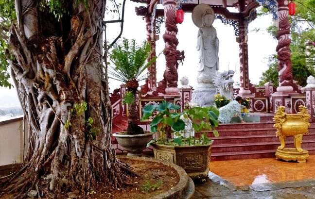Lên Đồi Cao Sáng Ngày Mưa