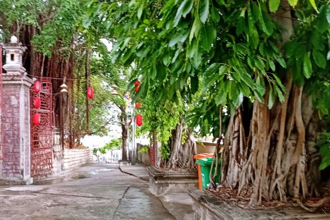 Lên Đồi Cao Sáng Ngày Mưa