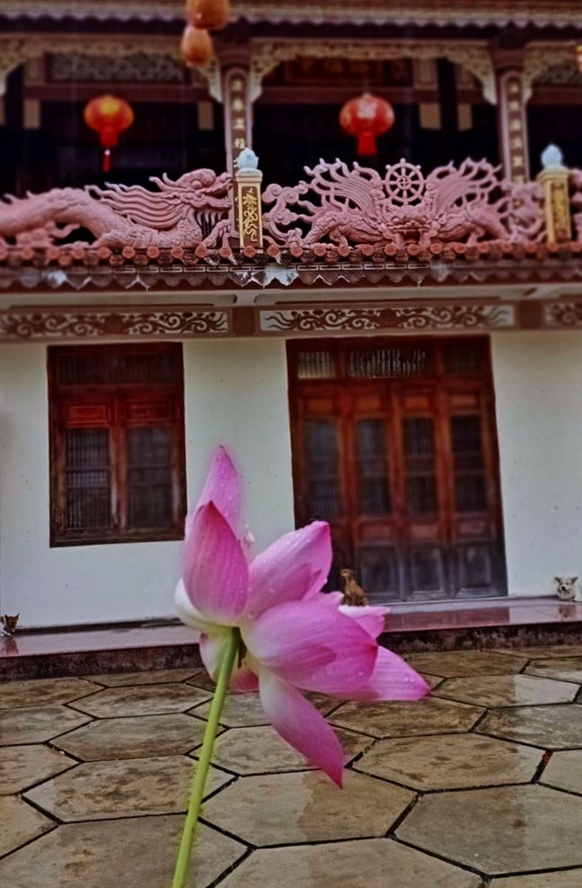 Lên Đồi Cao Sáng Ngày Mưa
