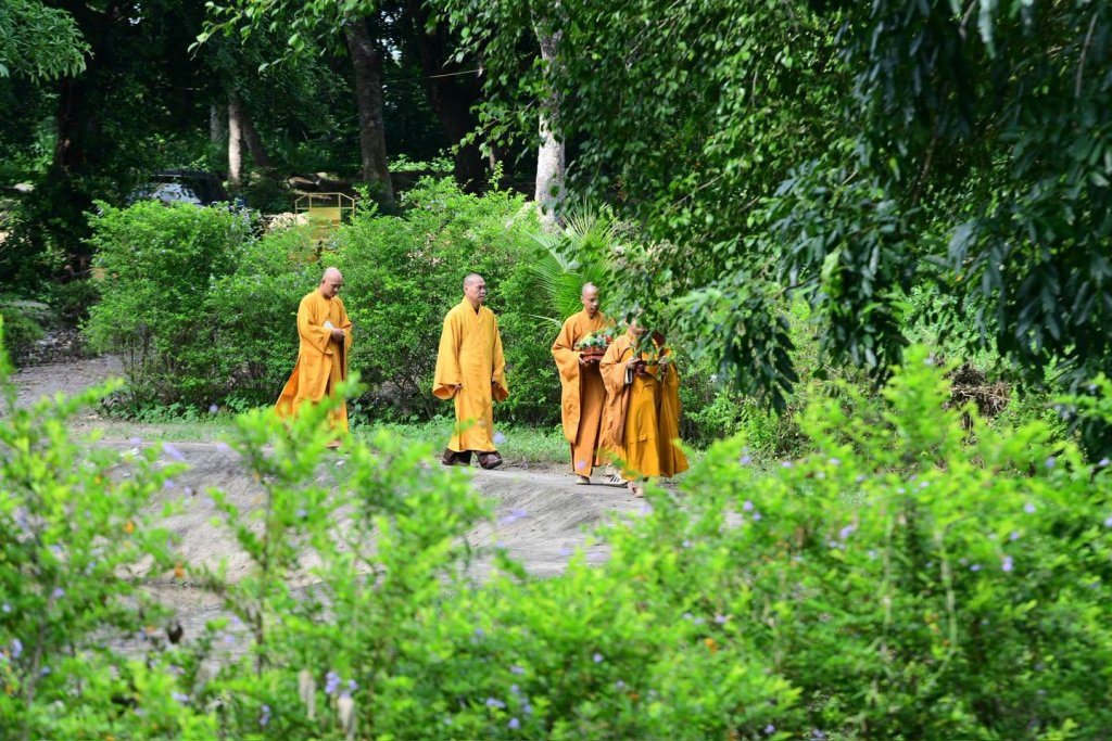 GIÁC NGỘ – HÀNH TRÌNH CHUYỂN HÓA TỪ VÔ MINH ĐẾN TỈNH THỨC