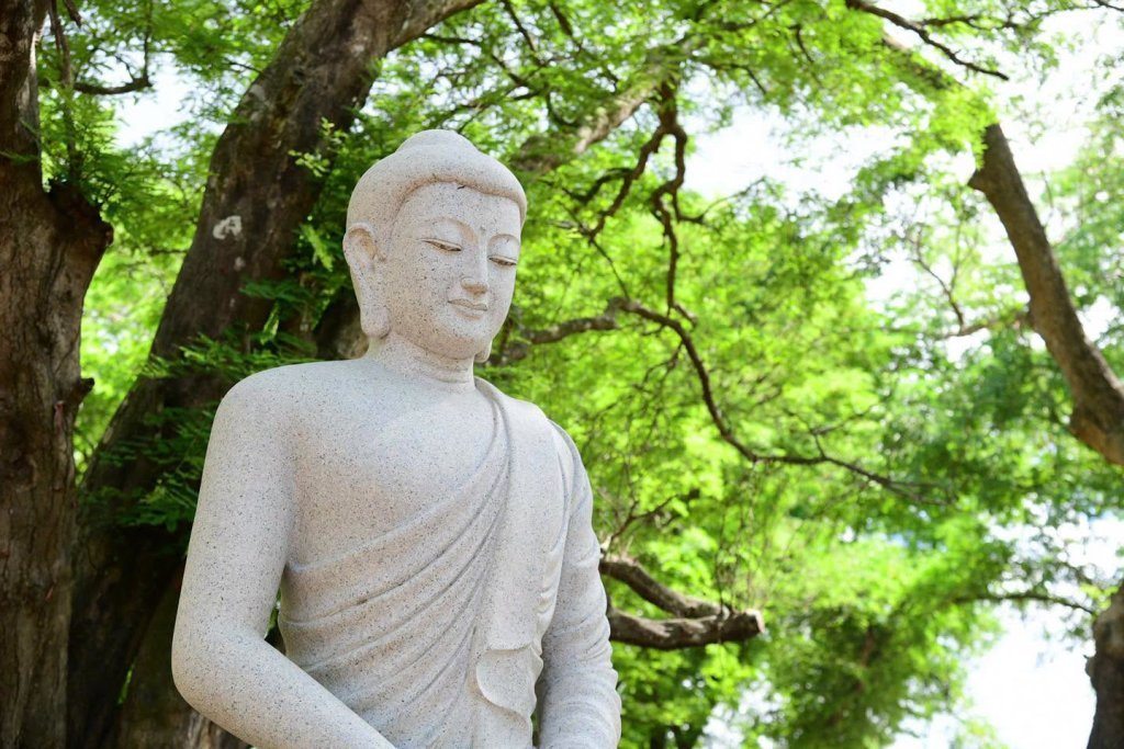 HT. THÍCH TÂM ĐỨC: TRAU DỒI GIỚI – ĐỊNH – TUỆ ĐỂ TĂNG TRƯỞNG ĐẠO LỰC TRONG MÙA AN CƯ