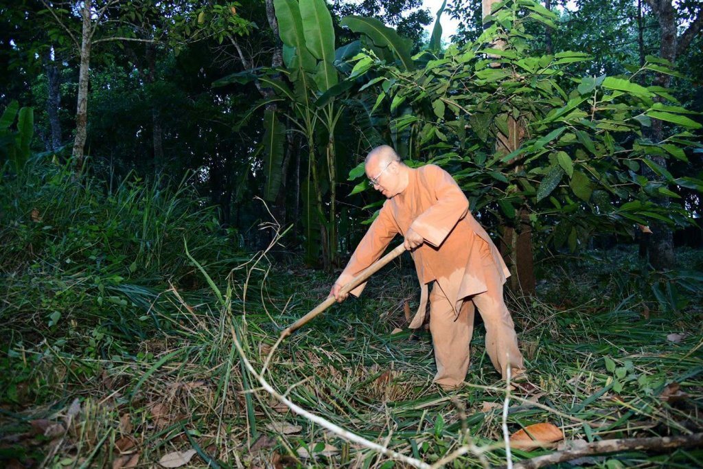 “MỘT NGÀY KHÔNG LÀM, MỘT NGÀY KHÔNG ĂN” – CHƯ HÀNH GIẢ CHẤP TÁC LÀM CỎ TẠI HẠ TRƯỜNG CHÙA GIÁC NGỘ