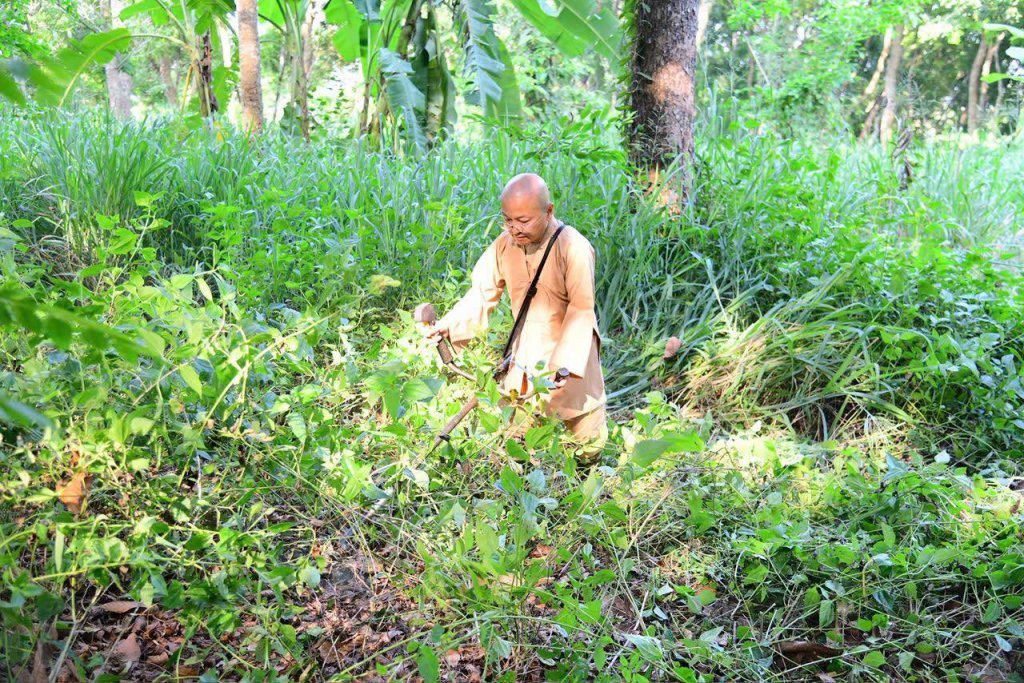 “MỘT NGÀY KHÔNG LÀM, MỘT NGÀY KHÔNG ĂN” – CHƯ HÀNH GIẢ CHẤP TÁC LÀM CỎ TẠI HẠ TRƯỜNG CHÙA GIÁC NGỘ