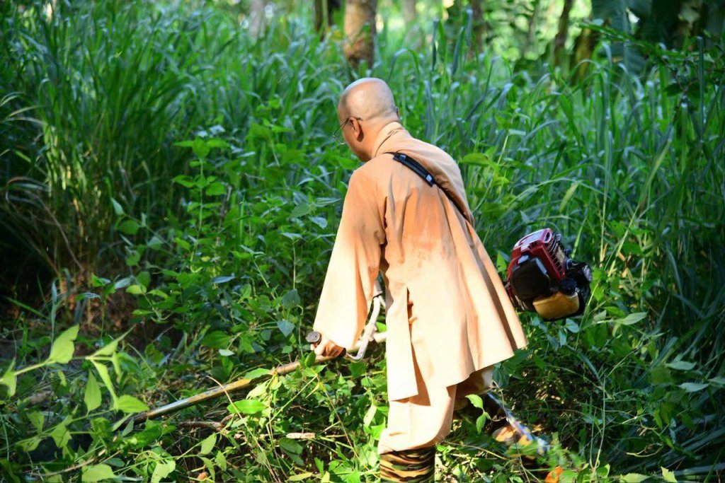 “MỘT NGÀY KHÔNG LÀM, MỘT NGÀY KHÔNG ĂN” – CHƯ HÀNH GIẢ CHẤP TÁC LÀM CỎ TẠI HẠ TRƯỜNG CHÙA GIÁC NGỘ