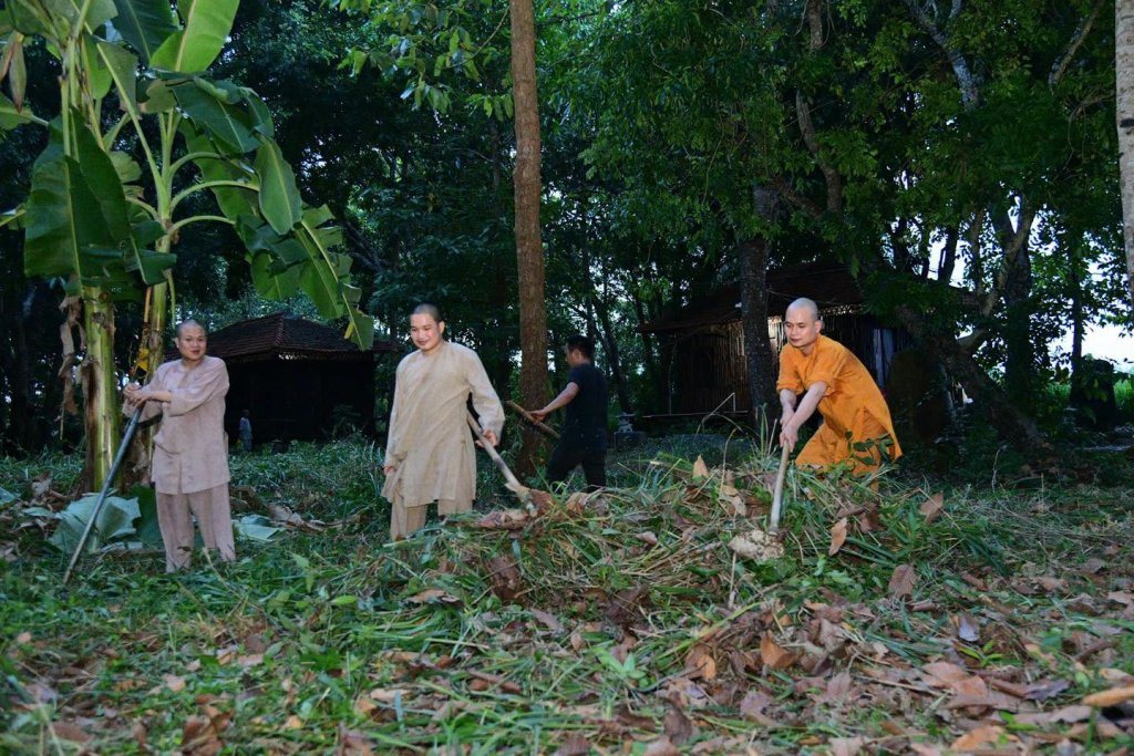 “MỘT NGÀY KHÔNG LÀM, MỘT NGÀY KHÔNG ĂN” – CHƯ HÀNH GIẢ CHẤP TÁC LÀM CỎ TẠI HẠ TRƯỜNG CHÙA GIÁC NGỘ