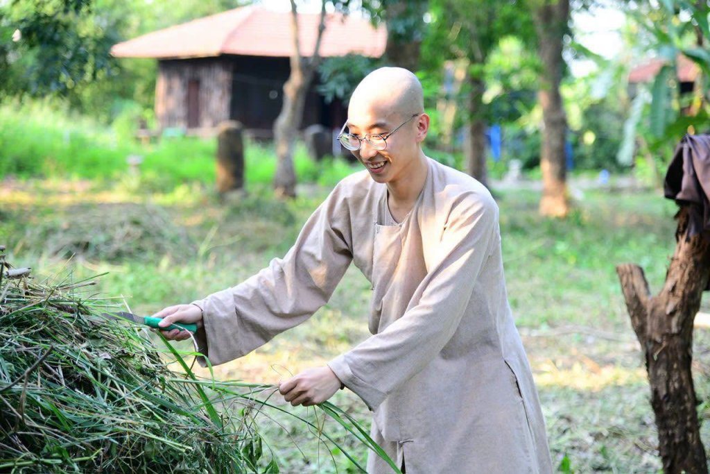 “MỘT NGÀY KHÔNG LÀM, MỘT NGÀY KHÔNG ĂN” – CHƯ HÀNH GIẢ CHẤP TÁC LÀM CỎ TẠI HẠ TRƯỜNG CHÙA GIÁC NGỘ