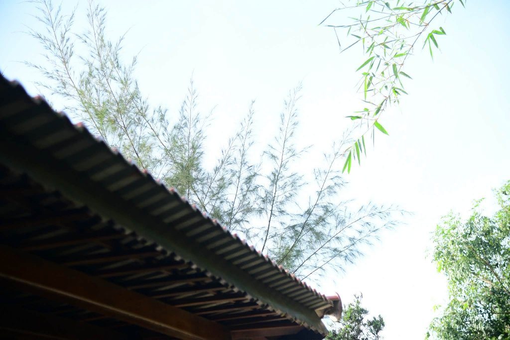SỰ DỊ BIỆT TẠO NÊN SỰ PHÁT TRIỂN LỚN MẠNH CỦA PHẬT GIÁO 