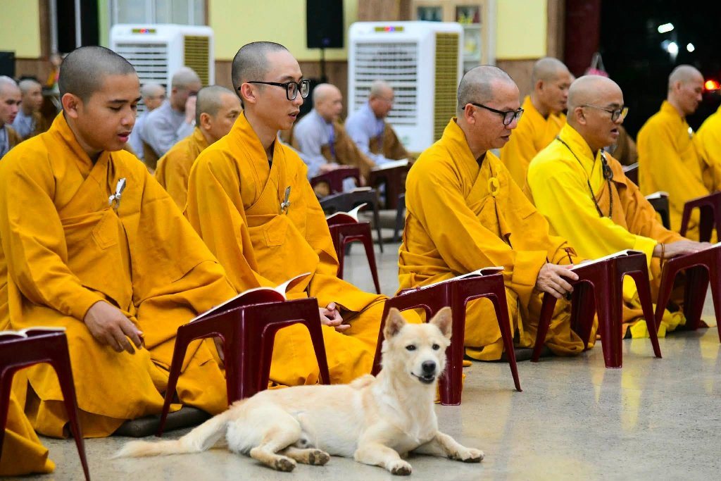 TRANG NGHIÊM TỤNG KINH VU LAN BÁO HIẾU