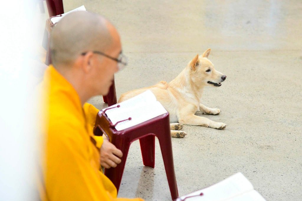 TRANG NGHIÊM TỤNG KINH VU LAN BÁO HIẾU