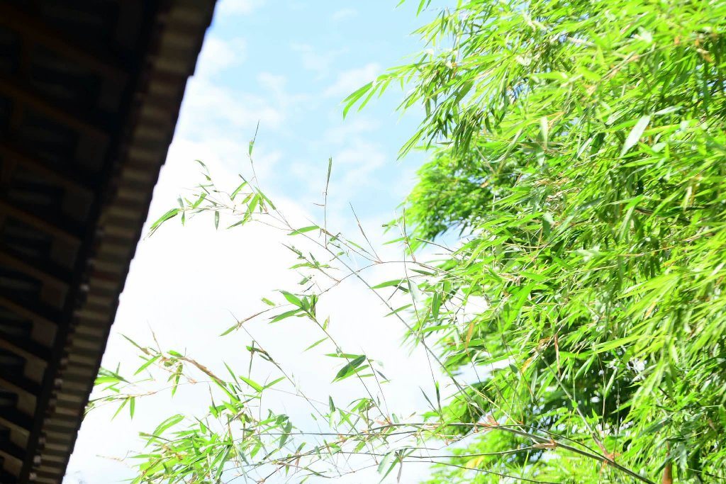 “TÂM HẠNH NGƯỜI XUẤT GIA” – NUÔI LỚN BỒ-ĐỀ TÂM, VỮNG BƯỚC ĐƯỜNG TU