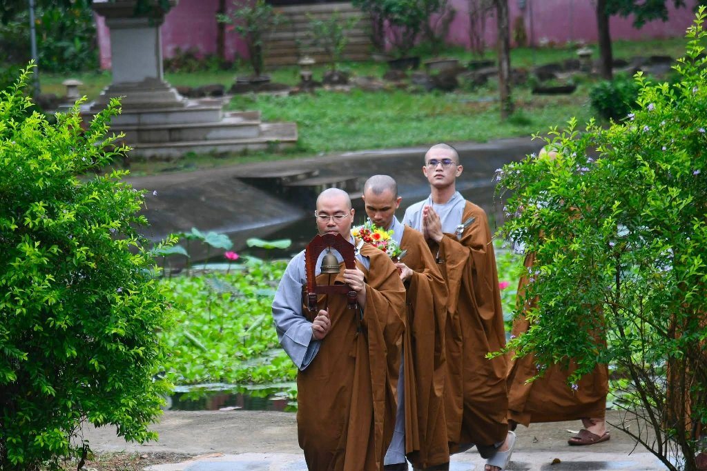 “CON RẮN” VÀ “CHIẾC BÈ” – BÀI HỌC SÂU SẮC VỀ CÁCH HỌC VÀ HÀNH CHÁNH PHÁP