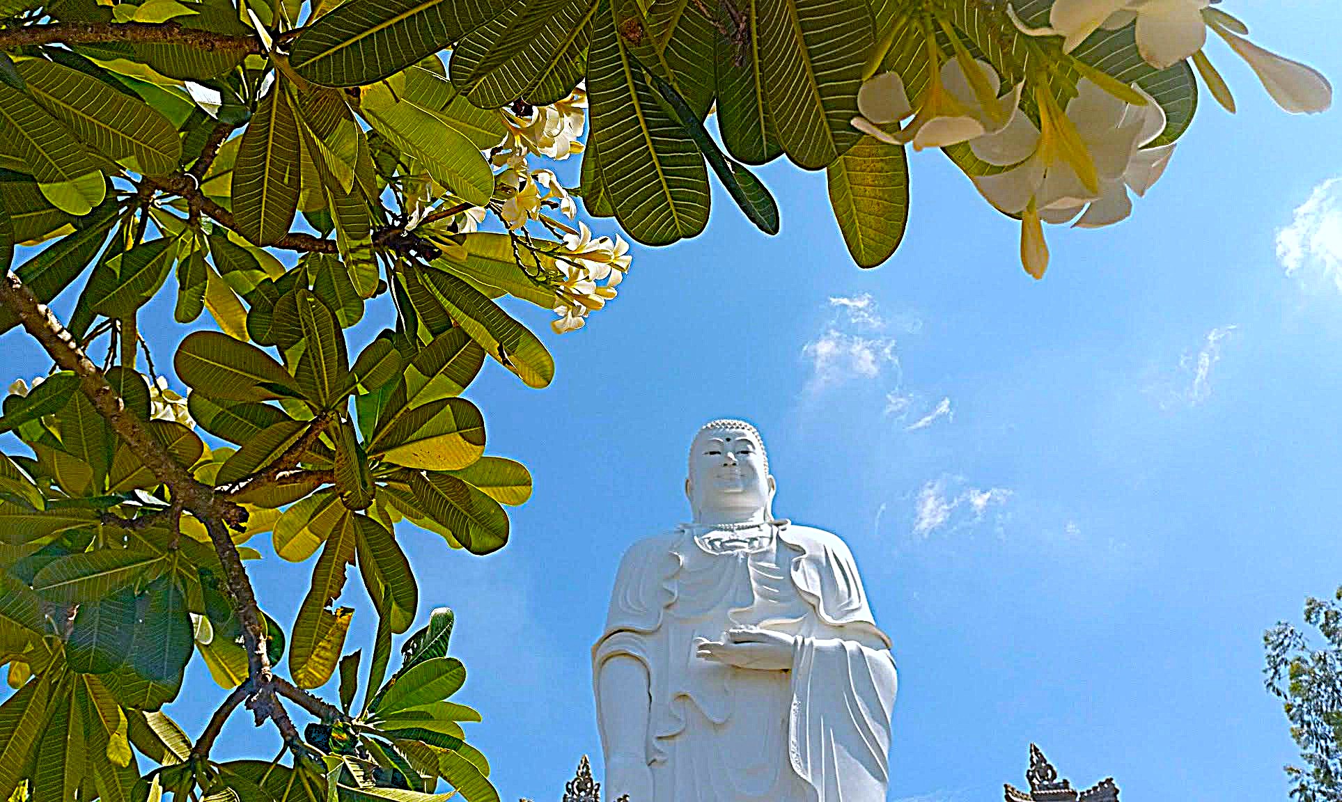 Cúng Dường Tam Bảo