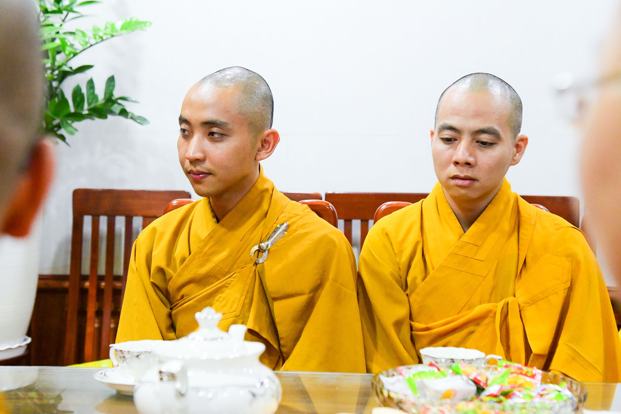 Tăng sinh Học viện khóa XIV đến thăm và chúc tết TT. Thích Nhật Từ tại chùa Giác Ngộ