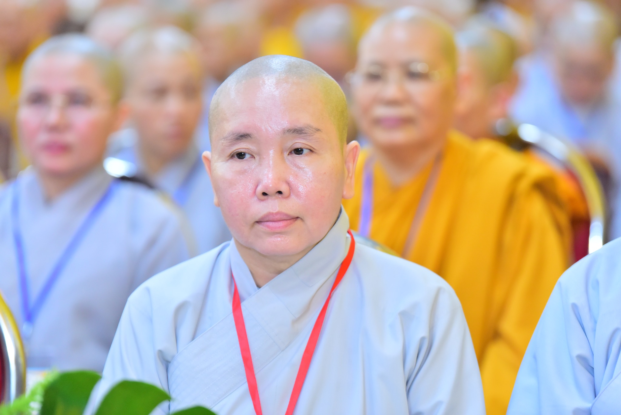 Ra mắt nhân sự Ban Phật giáo Quốc tế và Ban Kinh tế - Tài chính Trung ương GHPGVN