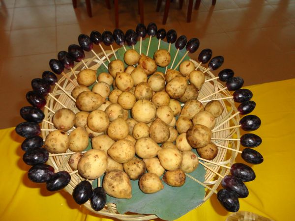 Đồng Tháp: Chùa Quê Hương khánh thành trai đường Cát Tường