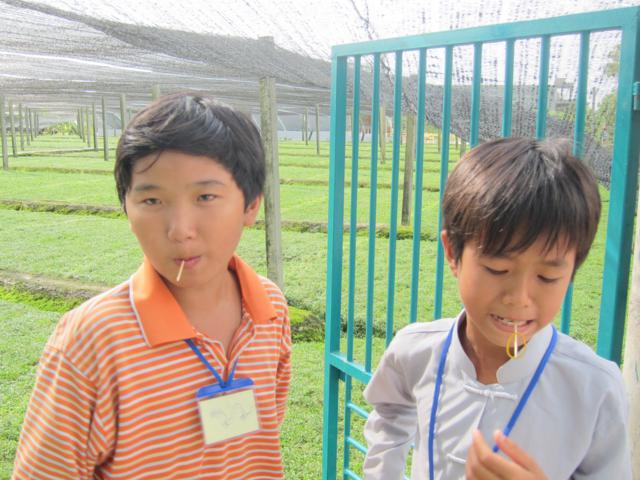 Long An: Chùm ảnh nốt cảm xúc thăng trầm khó tả của khóa tu mùa hè tại chùa Khánh Ninh ngày thứ 2