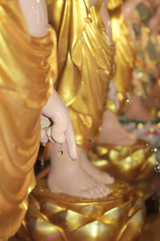 Gieo Hạt Từ Tâm kì 48 - Chủ đề: Em Mừng Phật Đản