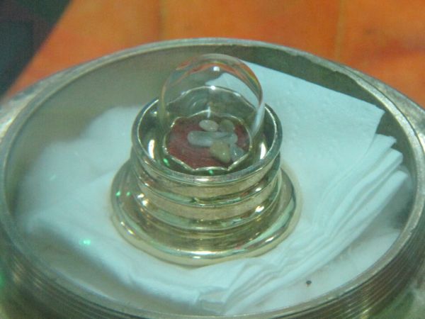 Triển lãm mừng Hội thảo Hoằng pháp 2010