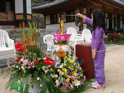 Liên Đăng Quốc tế Thiền viện, Hàn Quốc