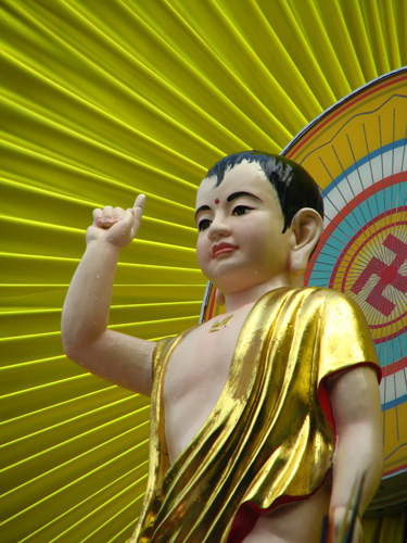 Thiệp Đức Phật đản sanh đi trên hoa sen cho Lễ Phật Đản 2022
