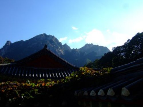 Cổ tự Tân Hưng - Hàn Quốc