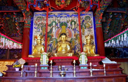 Cổ tự Tân Hưng - Hàn Quốc