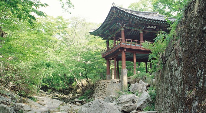 Diễn biến Thiền phái Thái Cổ, Korea