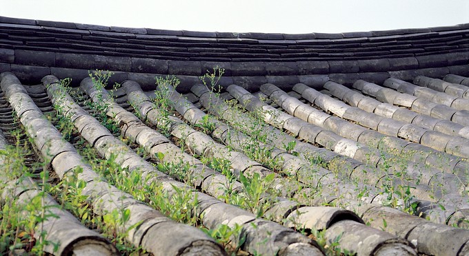 Diễn biến Thiền phái Thái Cổ, Korea