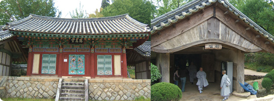 Diễn biến Thiền phái Thái Cổ, Korea