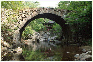 Diễn biến Thiền phái Thái Cổ, Korea