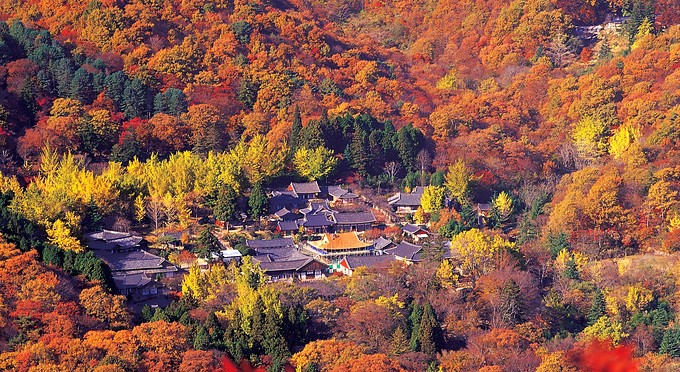 Diễn biến Thiền phái Thái Cổ, Korea