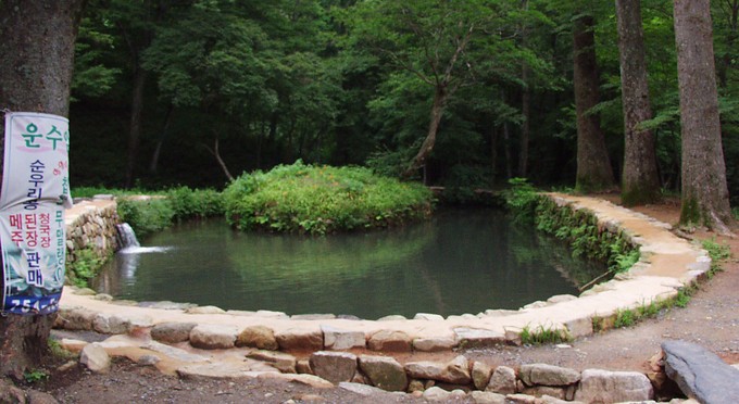 Diễn biến Thiền phái Thái Cổ, Korea
