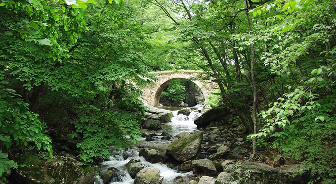 Diễn biến Thiền phái Thái Cổ, Korea