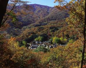 Diễn biến Thiền phái Thái Cổ, Korea
