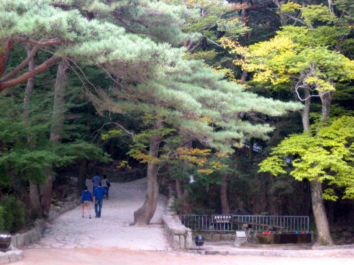 Diễn biến Thiền phái Thái Cổ, Korea
