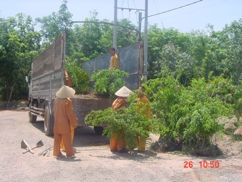 Cảm nhận khi tới thiền viện Trúc Lâm Trí Đức