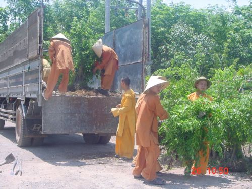 Cảm nhận khi tới thiền viện Trúc Lâm Trí Đức