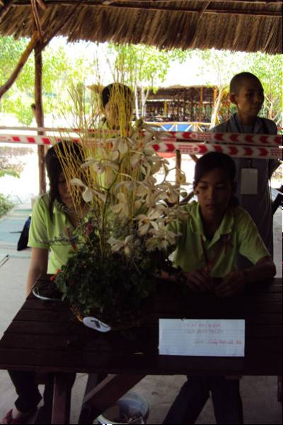HỘI TRẠI “LÝ CÔNG UẨN” – 2010 Sân Chơi Lành Mạnh và Lý Thú