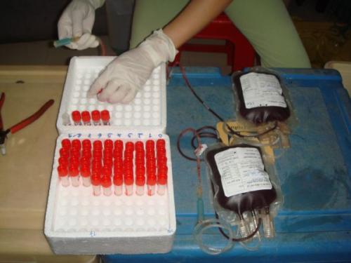 Khởi động hiến máu đón chào hội thảo Phật giáo toàn quốc 2010