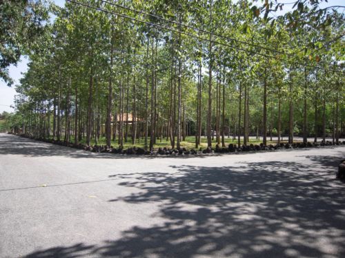 Xin mời bạn tới