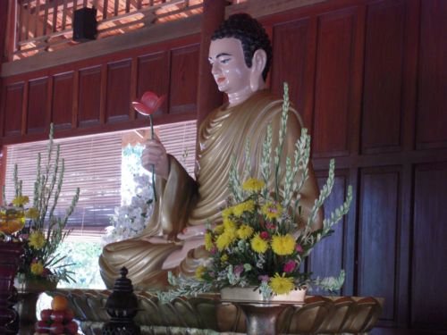 Xin mời bạn tới