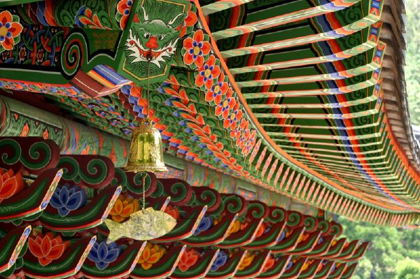 Trang trí màu sơn Korea