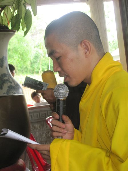 Mùa phượng tím