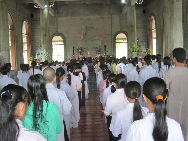 Mùa phượng tím