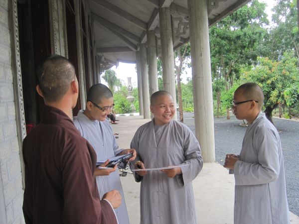 Mùa phượng tím