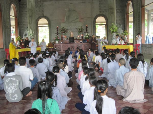 Mùa phượng tím